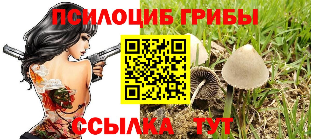 Лиски  Галлюциногенные грибы Psilocybine cubensis  Вход с VPN  Галлюциногенные грибы ЛСД 